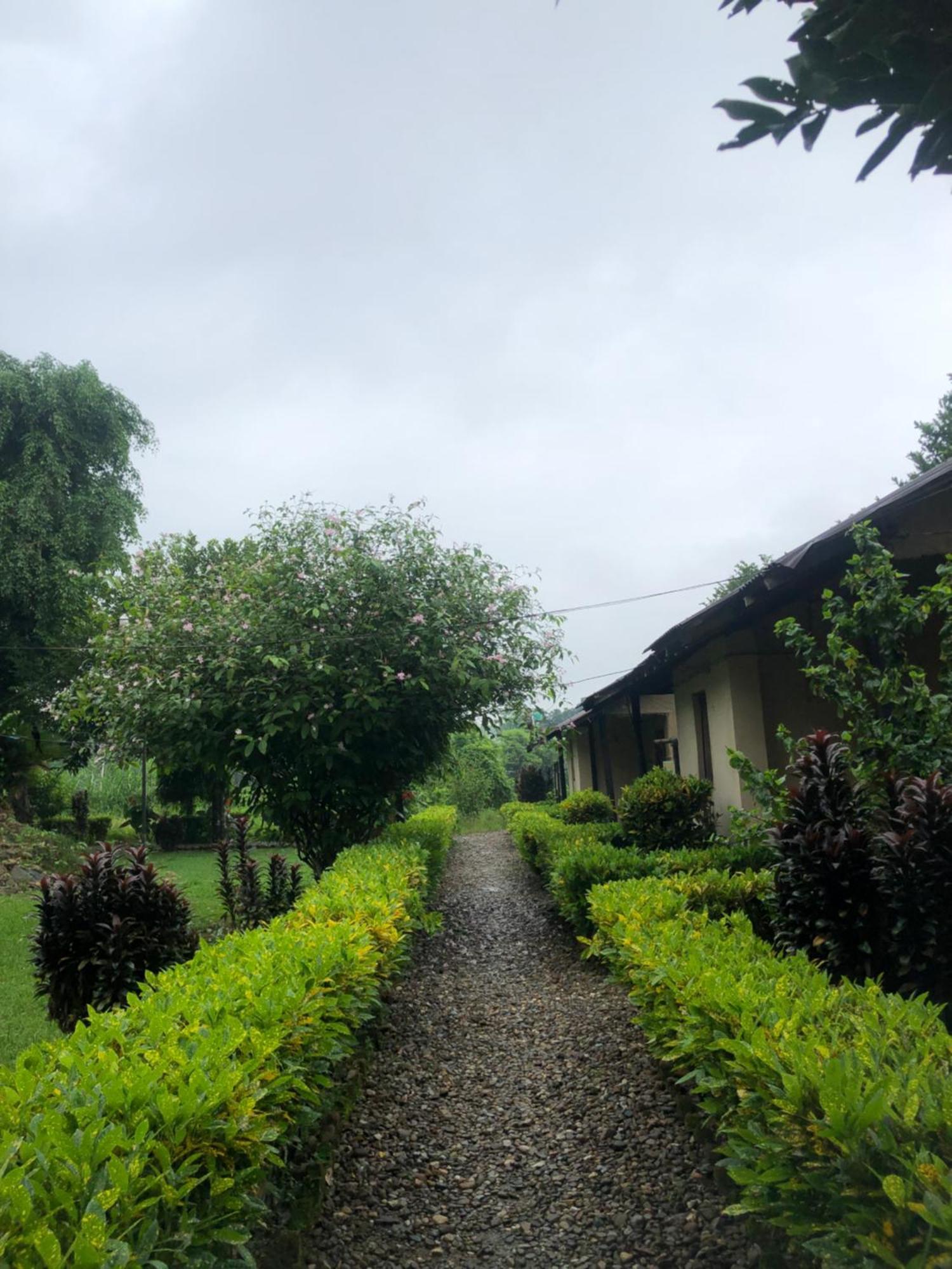Hotel Tharu Garden And Beer Bar 치트완 외부 사진